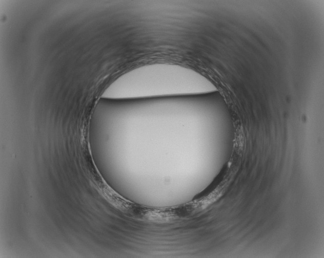 X0000086290568200703301139