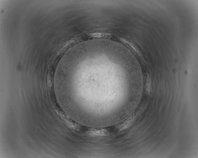 X0000086290569200703301139