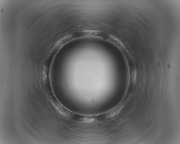 X0000086290570200703301139