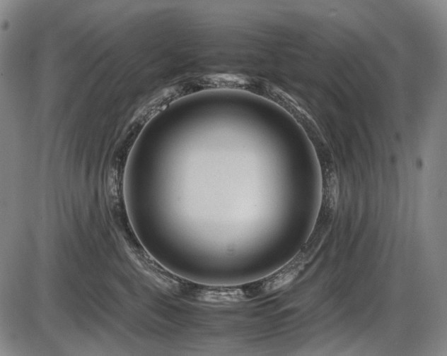 X0000086290571200703301139