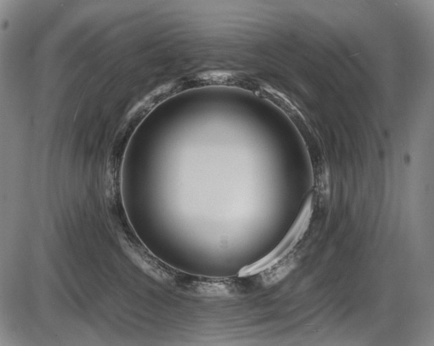 X0000086290572200703301139