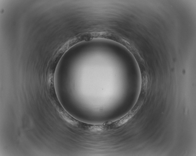 X0000086290574200703301139