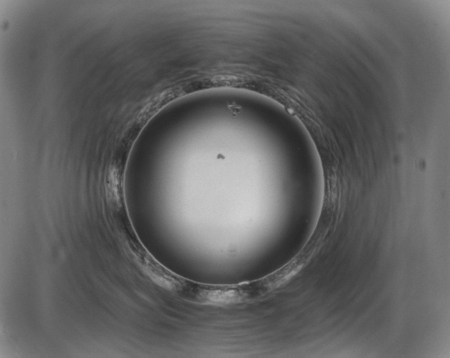 X0000086290575200703301139