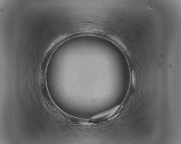 X0000086290579200703301138