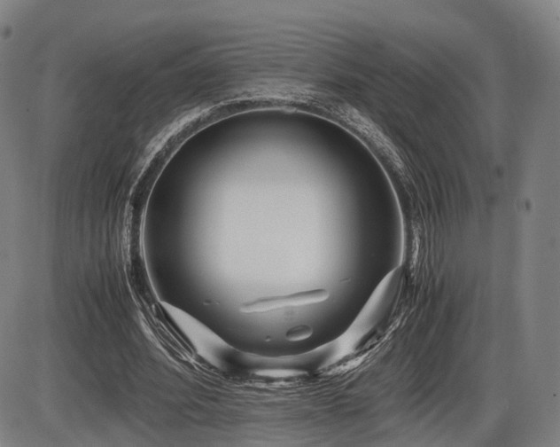 X0000086290580200703301138