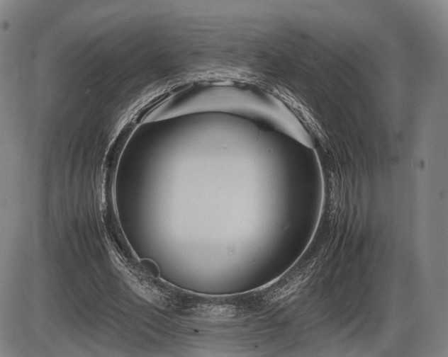 X0000086290582200703301138