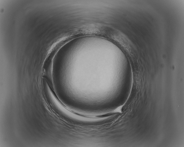 X0000086290583200703301138