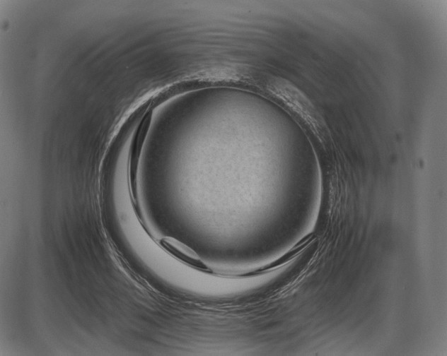 X0000086290584200703301138