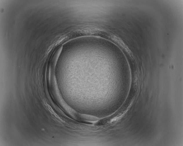 X0000086290585200703301138