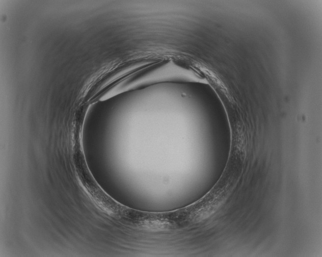 X0000086290586200703301138