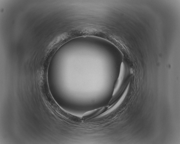 X0000086290591200703301138