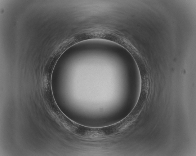 X0000086290597200703301138