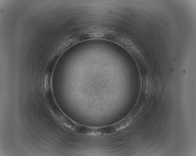 X0000086290598200703301138
