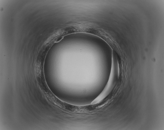 X0000086290599200703301138