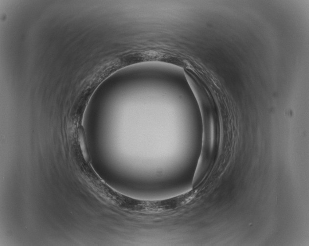 X0000086290601200703301138