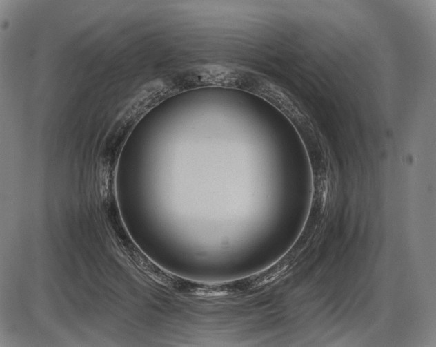 X0000086290602200703301138