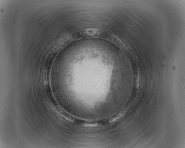 X0000086290606200703301138