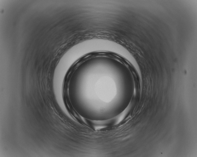 X0000086290608200703301138