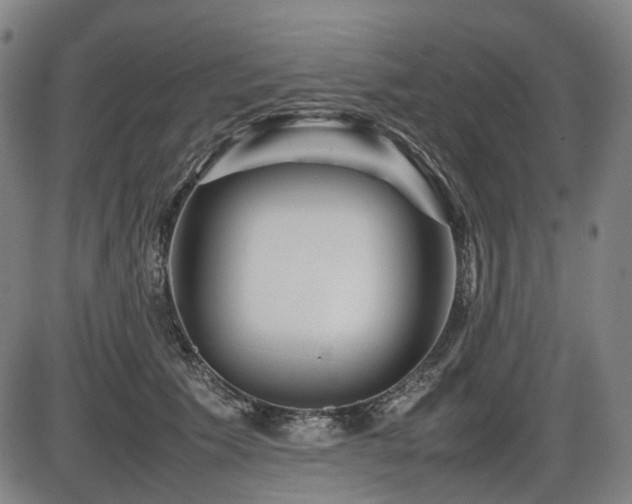 X0000086290609200703301138