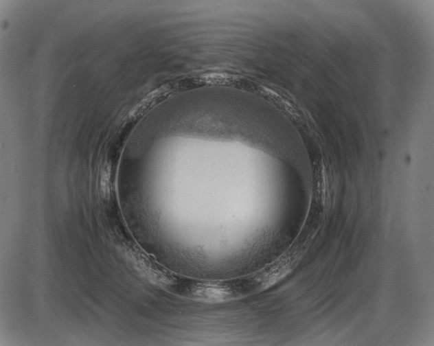 X0000086290610200703301138