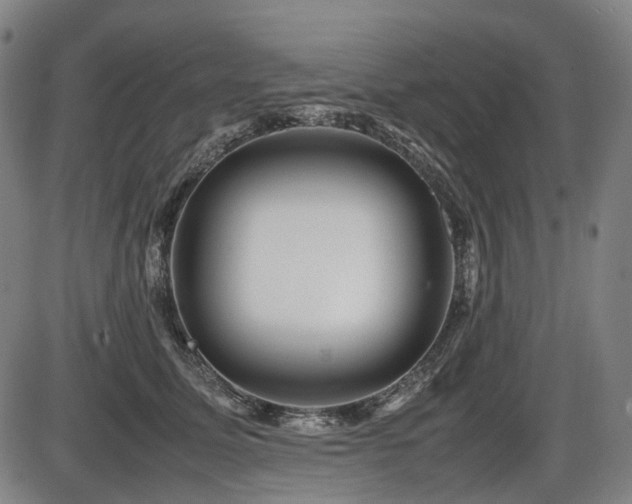 X0000086290611200703301138