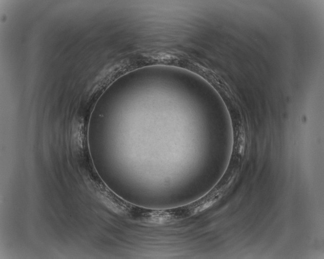 X0000086290612200703301138