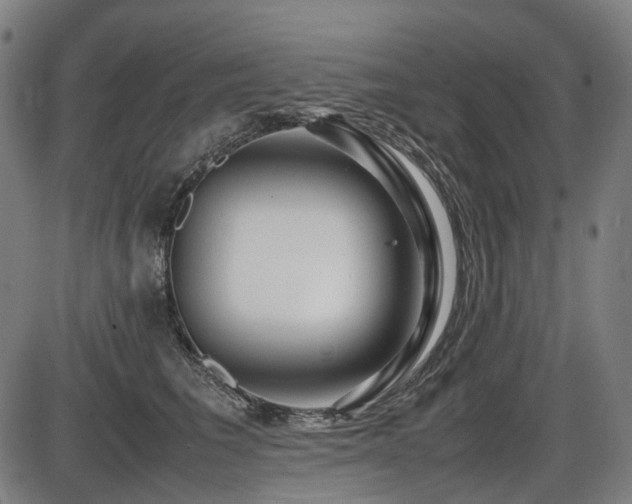 X0000086290613200703301138