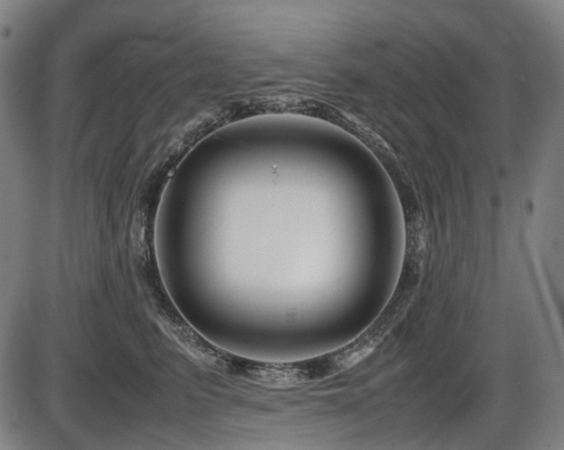 X0000086290615200703301137