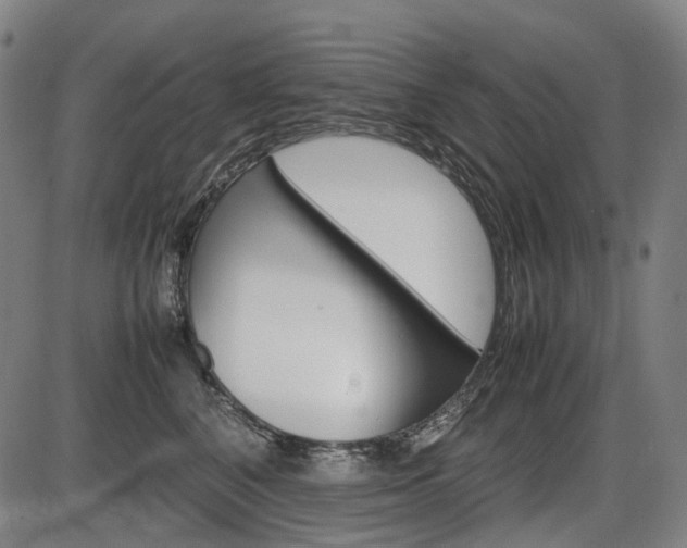 X0000086290616200703301137