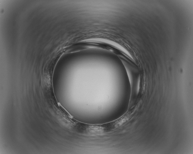 X0000086290617200703301137