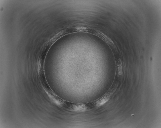 X0000086290618200703301137