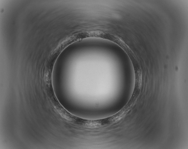 X0000086290619200703301137