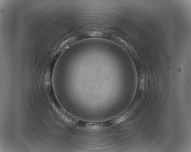 X0000086290620200703301137