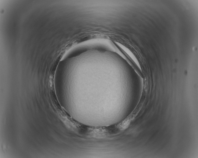 X0000086290621200703301137