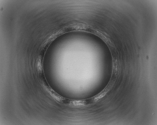 X0000086290622200703301137