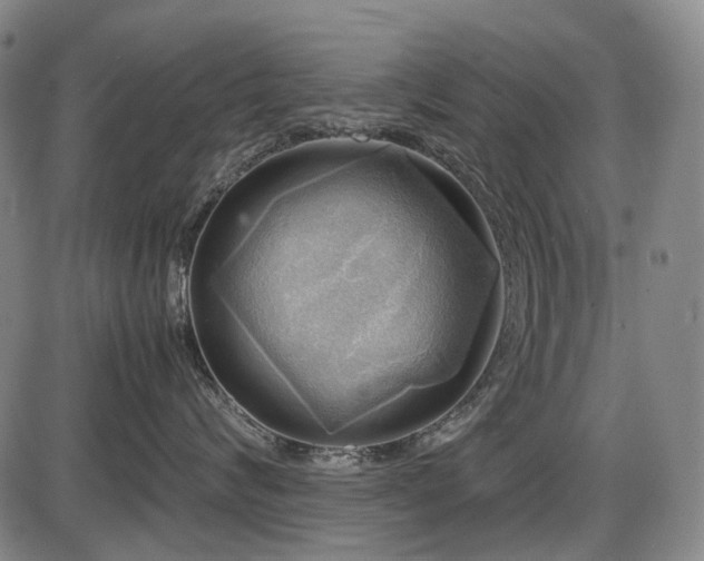 X0000086290624200703301137