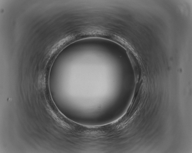 X0000086290629200703301137