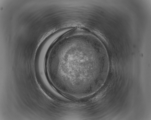 X0000086290630200703301137
