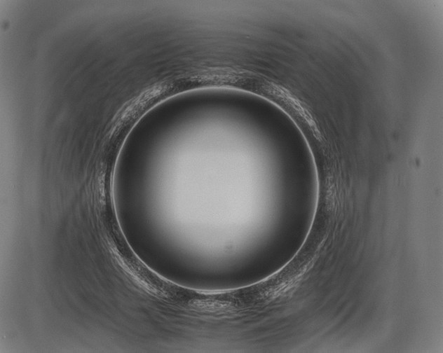 X0000086290633200703301137