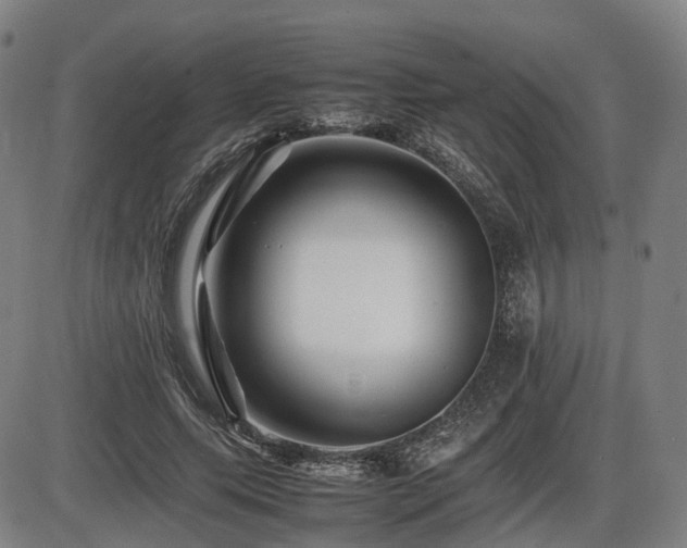 X0000086290639200703301137