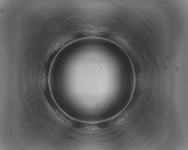 X0000086290642200703301137
