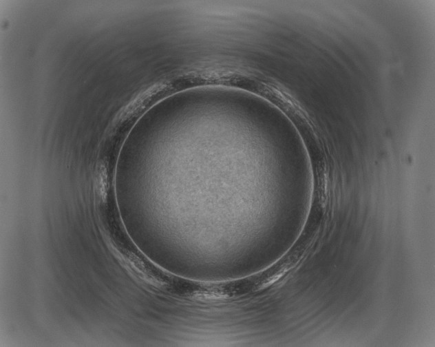 X0000086290644200703301137