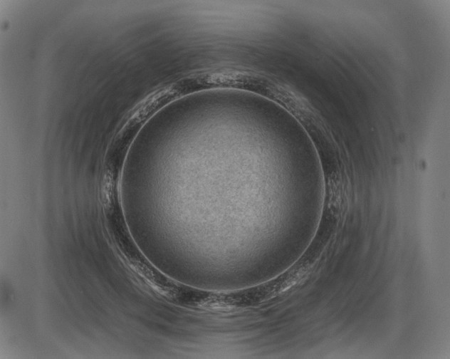 X0000086290648200703301137
