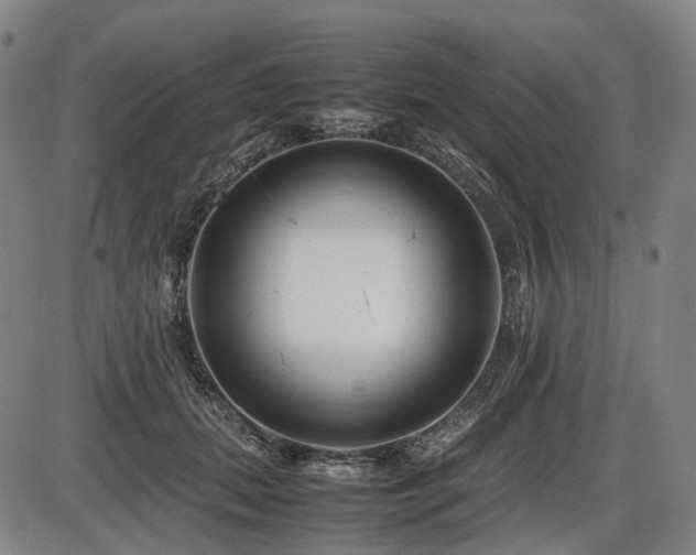 X0000086290655200703301137
