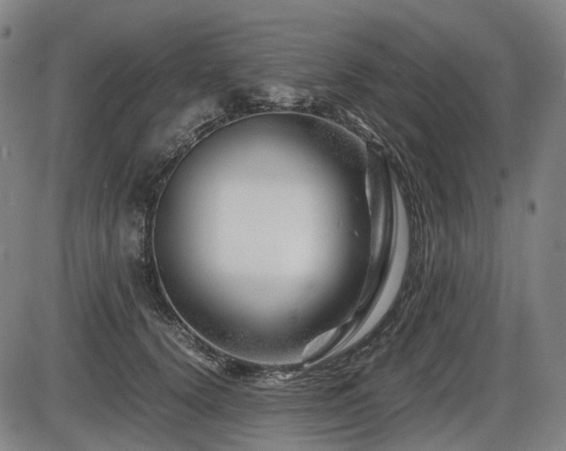 X0000086290656200703301137