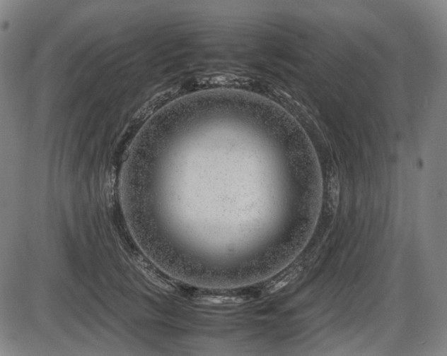 X0000086290657200703301137