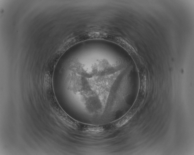 X0000086290659200703301137