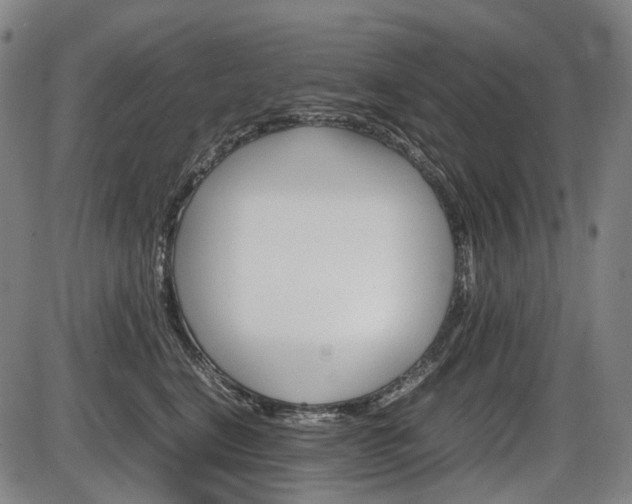 X0000086290664200703301137
