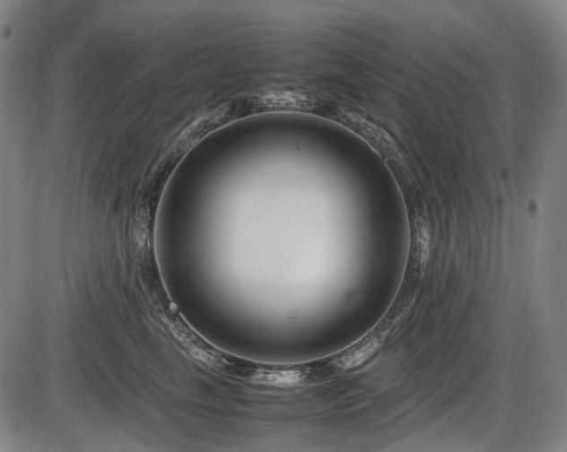 X0000086290665200703301137