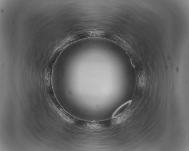 X0000086290666200703301137